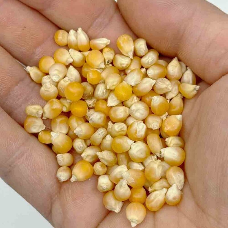 더착한농장, 조정치호박고구마크림빵, 크림빵, 친환경빵, 국산빵, 수제팝콘, 팝콘, 수제간식, 건강간식, 